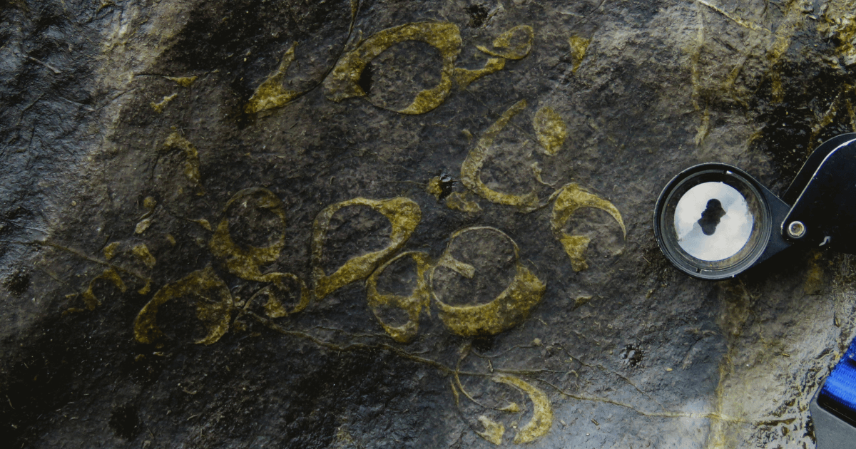 LOOK Fossil gastropods likely to be PH's 'first and oldest' were found